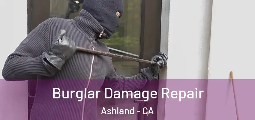  Burglar Damage Repair Ashland - CA