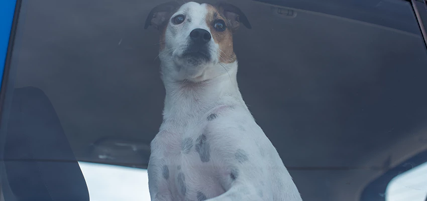 Car Lockout Solutions in Ashland, California