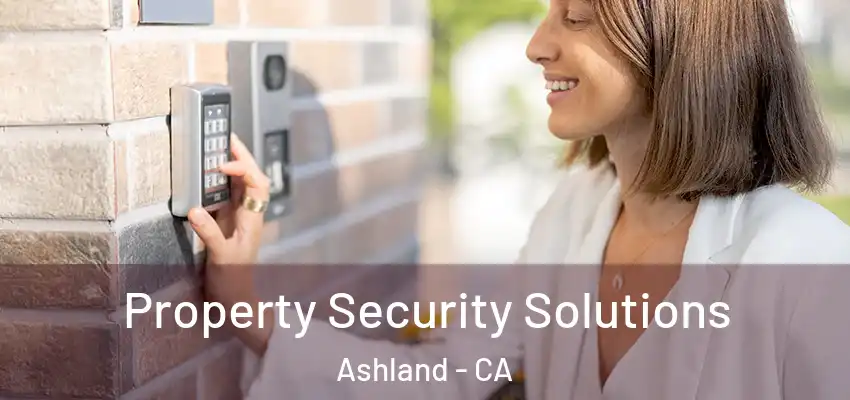  Property Security Solutions Ashland - CA